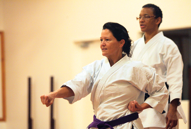 Chamber event features scratching, kicking and safety